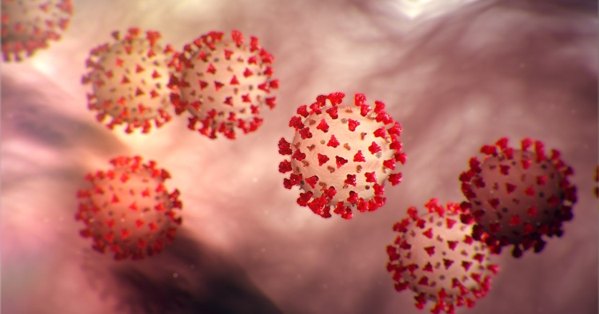 Coronavirus Update TGK Jail Inmate Tests Positive For COVID19 In