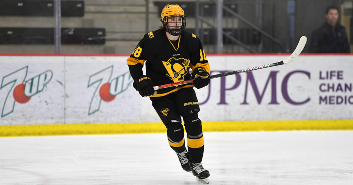 Pittsburgh Native Logan Cooley Named To USA Hockey National Team