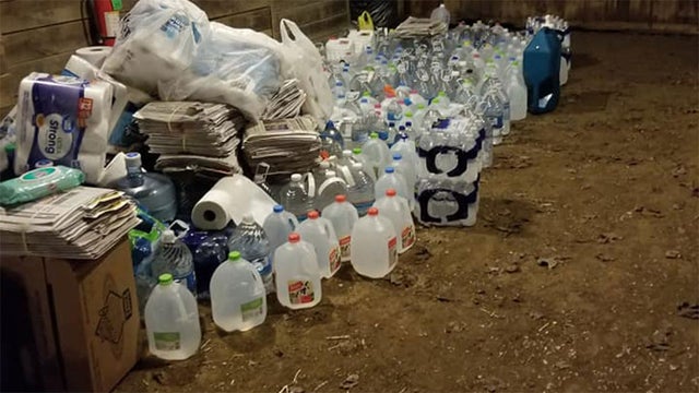 orphans-of-the-storm-animal-shelter-2 