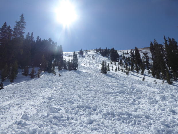 Independence Pass Avalanche 1 (CAIC) 