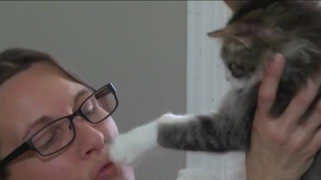 WomanWithCat.jpg 