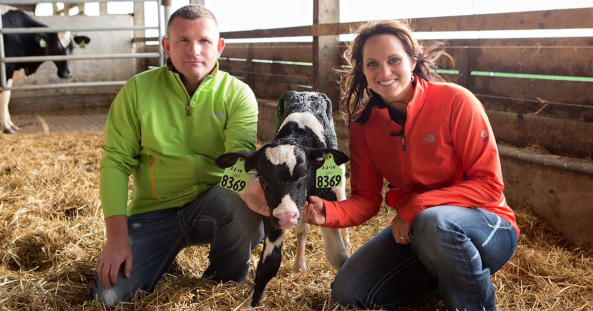 Dairy farmers forced to dump milk as schools and restaurants close ...