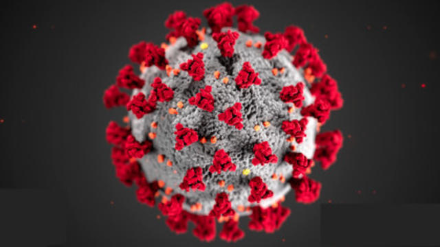 coronavirus-2.jpg 