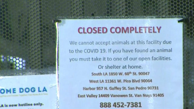 closed-shelters.jpg 