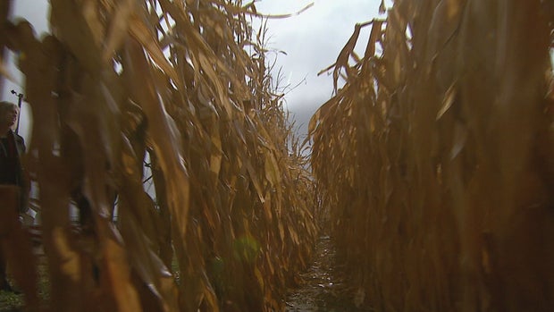 FARM INDUSTRY 10.transfer_frame_158 