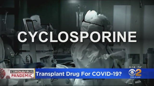 Cyclosporine.jpg 
