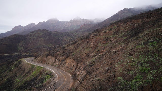 Vegetation Begins To Regrow Within Santa Monica Mtns In Woolsey Fire Area Helped In Part With Rainfall Amount 