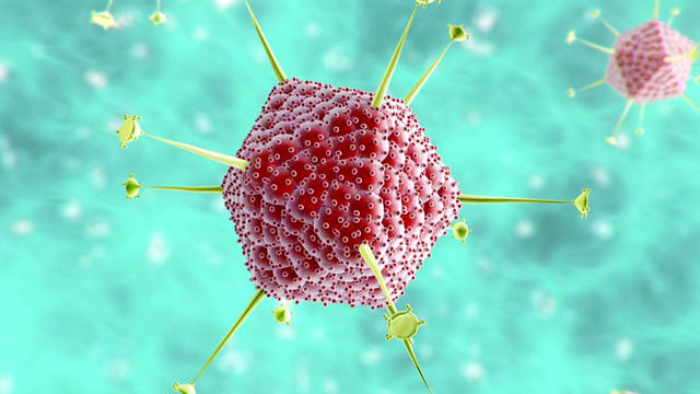 COVID-19-Coronavirus-Antibody-Test-GQ.jpg 