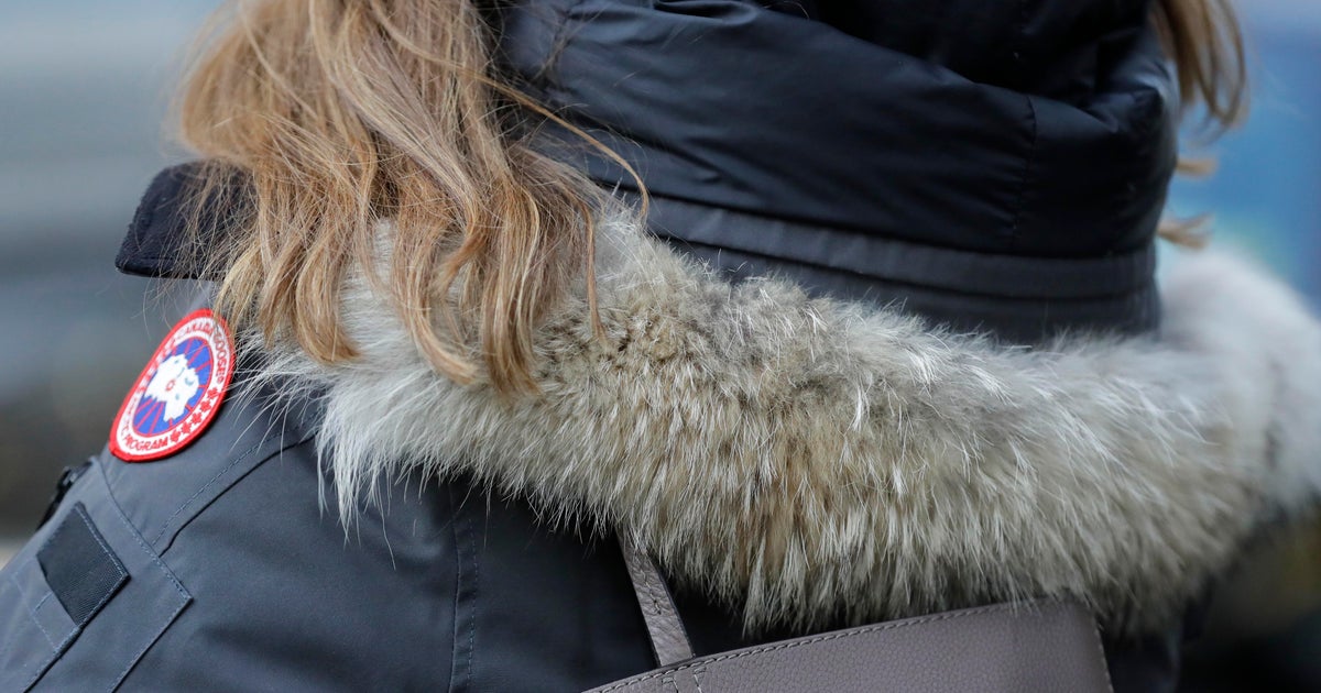 canada goose not using fur