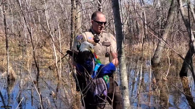 Eagle-Rescue.jpg 