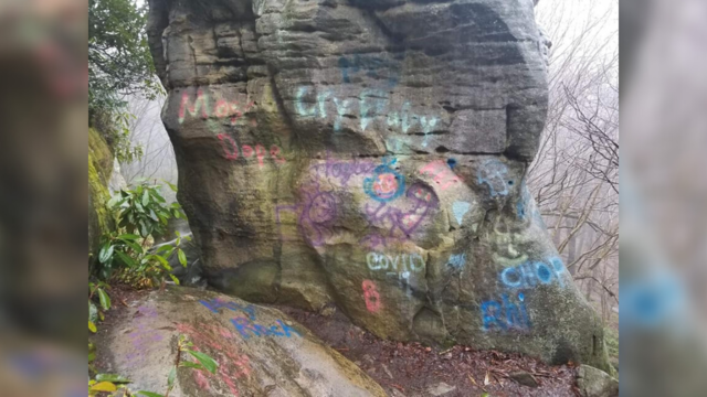 forbes-state-forest-graffiti-.png 