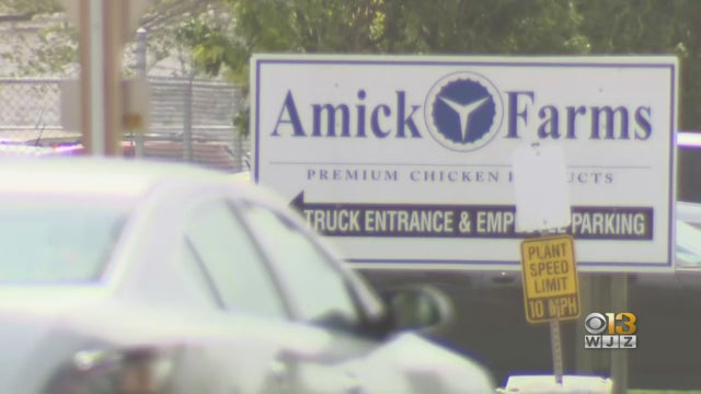Amick-Farms.jpg 