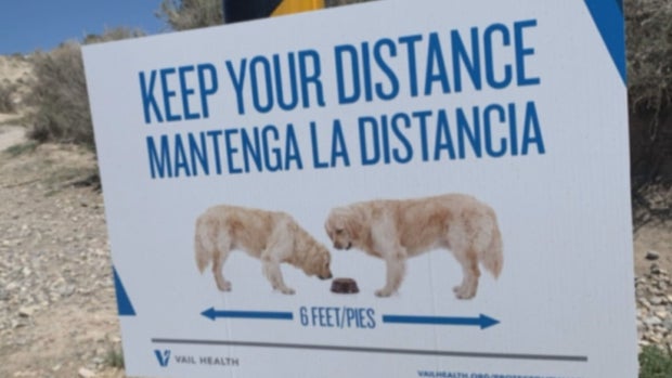 ONE WAY TRAILS 5VO.transfer_frame_468