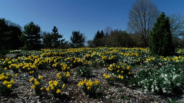 Minnesota-Landscape-Arboretum.jpg 