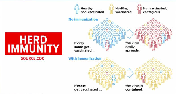 herd-immunity.jpg 