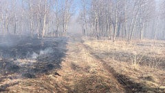 horse ranch fire 3 (pike san isabel national forest) 