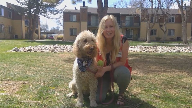 THERAPY DOGS 5PKG.transfer_frame_263 