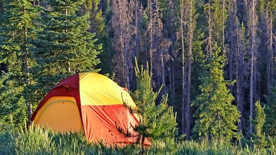 cpw-tent-.jpg 