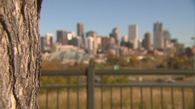 COLORADO CRISIS LINE 10 PKG.transfer_frame_730