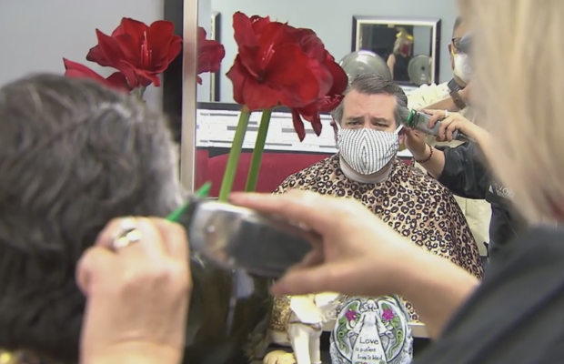 U.S. Senator Ted Cruz gets haircut 