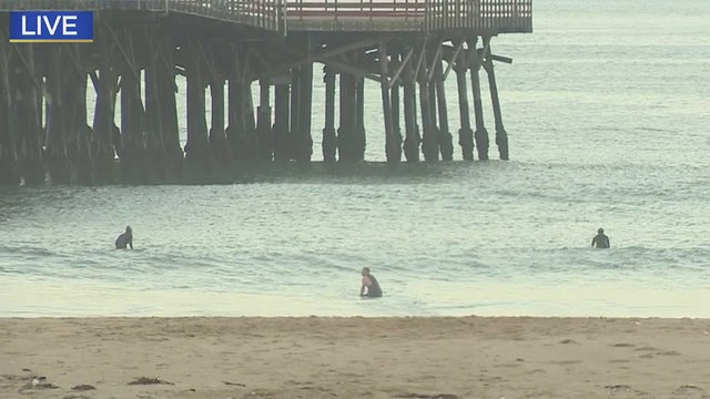 seal-beach-surfers.jpg 