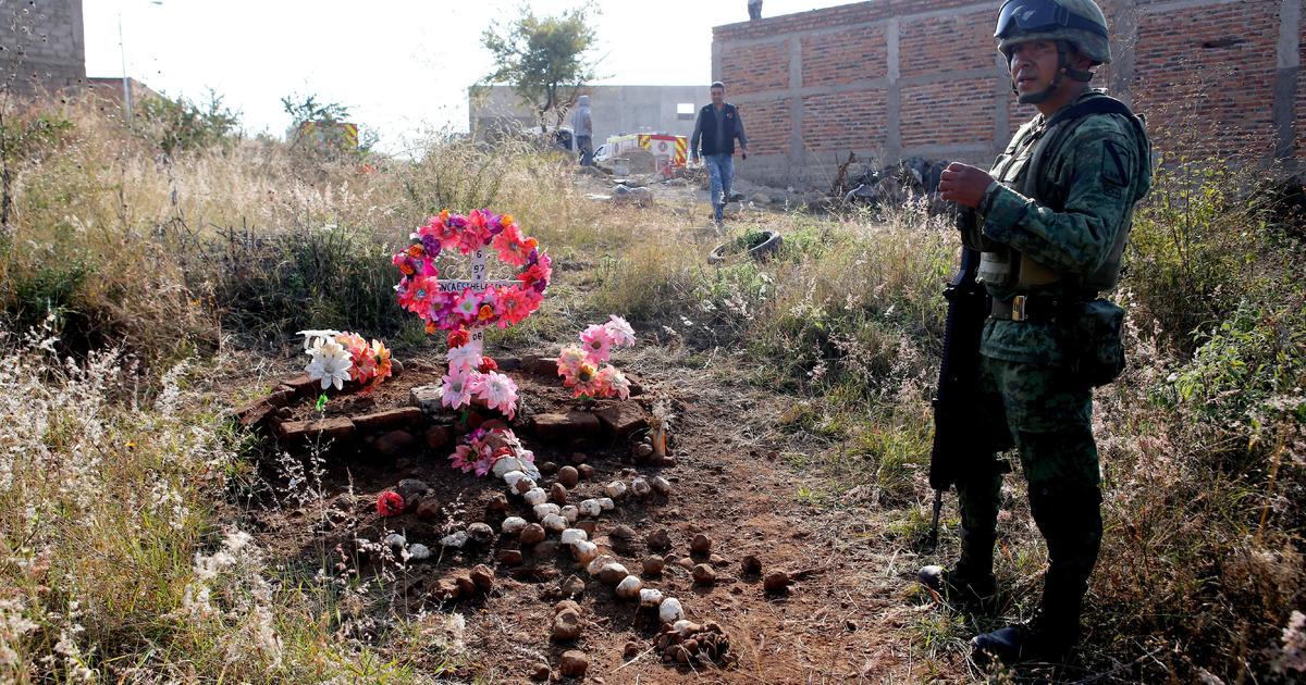 Dogs seen nibbling on human body parts at possible clandestine burial site in Mexico