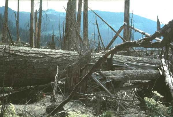 A look back at America's deadliest volcanic eruption in 1980 - Mount St ...
