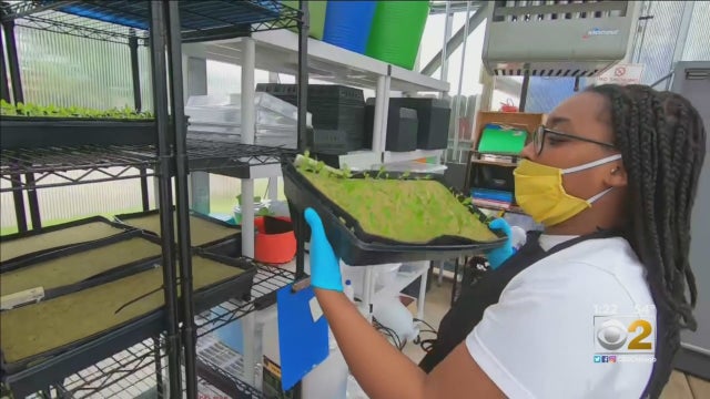 Herban-Produce.jpg 