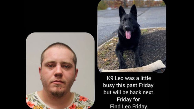 tewksburyk9