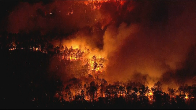 Monroe Township forrest fire 