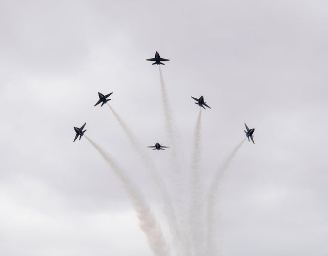 49916605333_65f4941051_o 