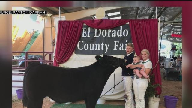 el-dorado-county-fair.jpg 