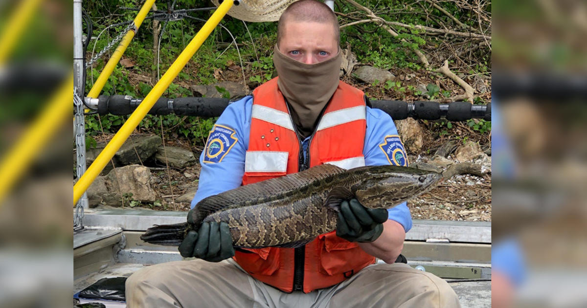 Pennsylvania Fish and Boat Commission - Looking for a last-minute