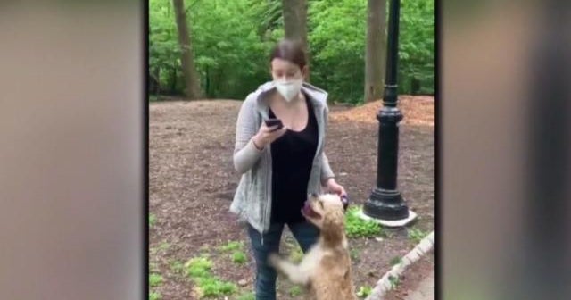 White woman fired after she calls police on black man who asked her to ...