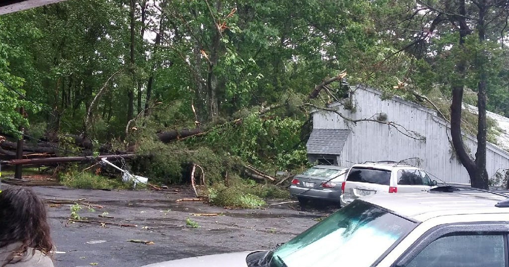 Severe Thunderstorms Knock Down Trees, Damaging Cars And Buildings In