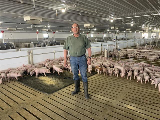 COVID-19 exacts a high cost from Minnesota hog farmers - CBS News