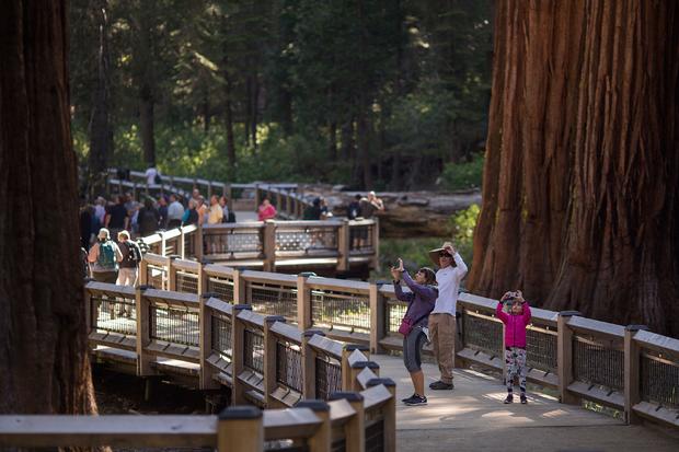 Yosemite To Reopen Thursday, But Visitors Must Make Online Reservation 