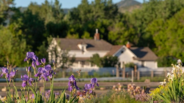 denver-botanic-chatfield-farms.jpg 
