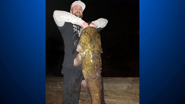 pastaterecordcatfish.jpg 
