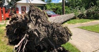 Photos: Storm Damage Across Michigan - CBS Detroit