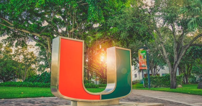 College of Miami fraternity shut right after allegations into drugged beverages, disturbing chants