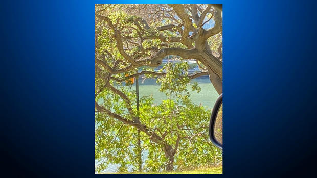 Noose found in at Lake Merritt in Oakland 