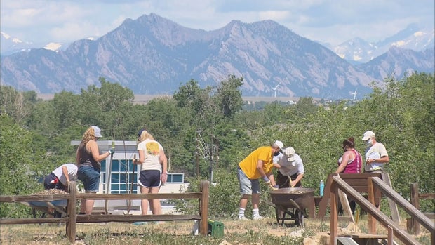 FRUIT TREE PLANTING.transfer_frame_695 