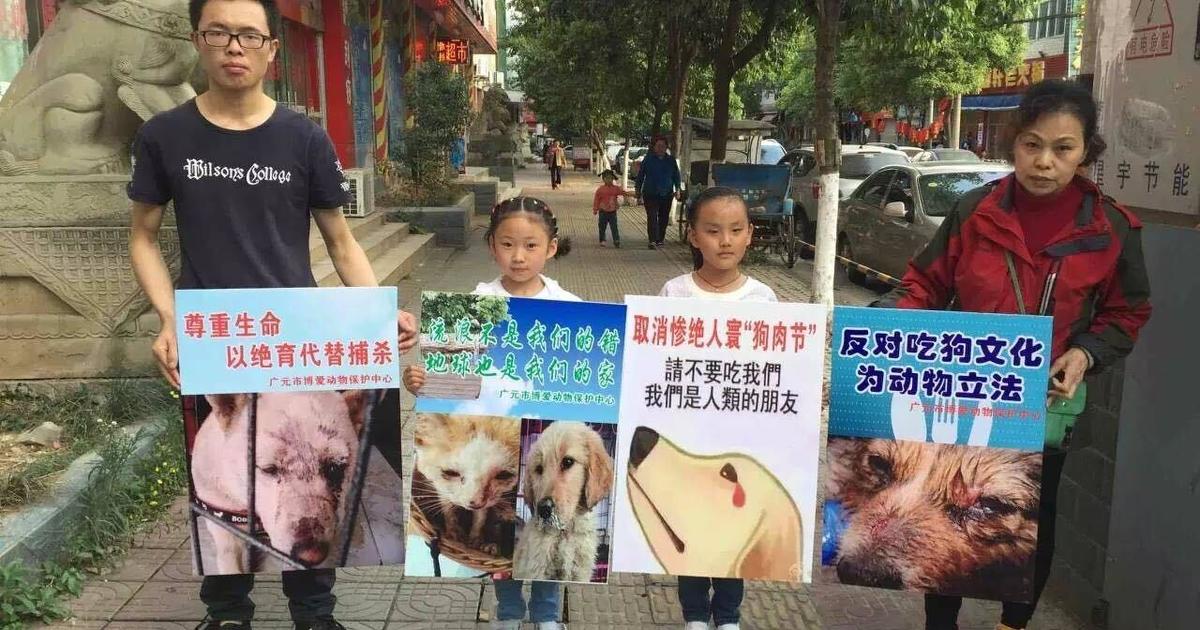 China's dog meat festival is underway, but activists hope it will be the  last - CBS News