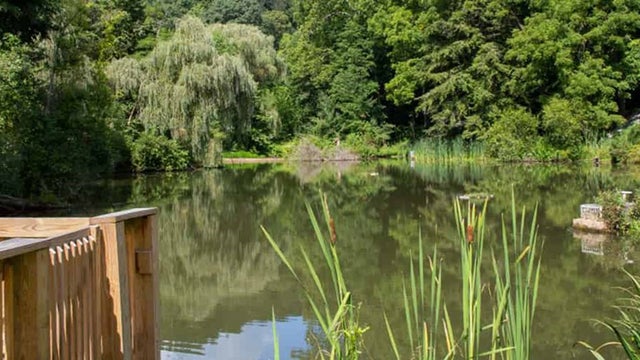 parks-main-header-spring.jpg 