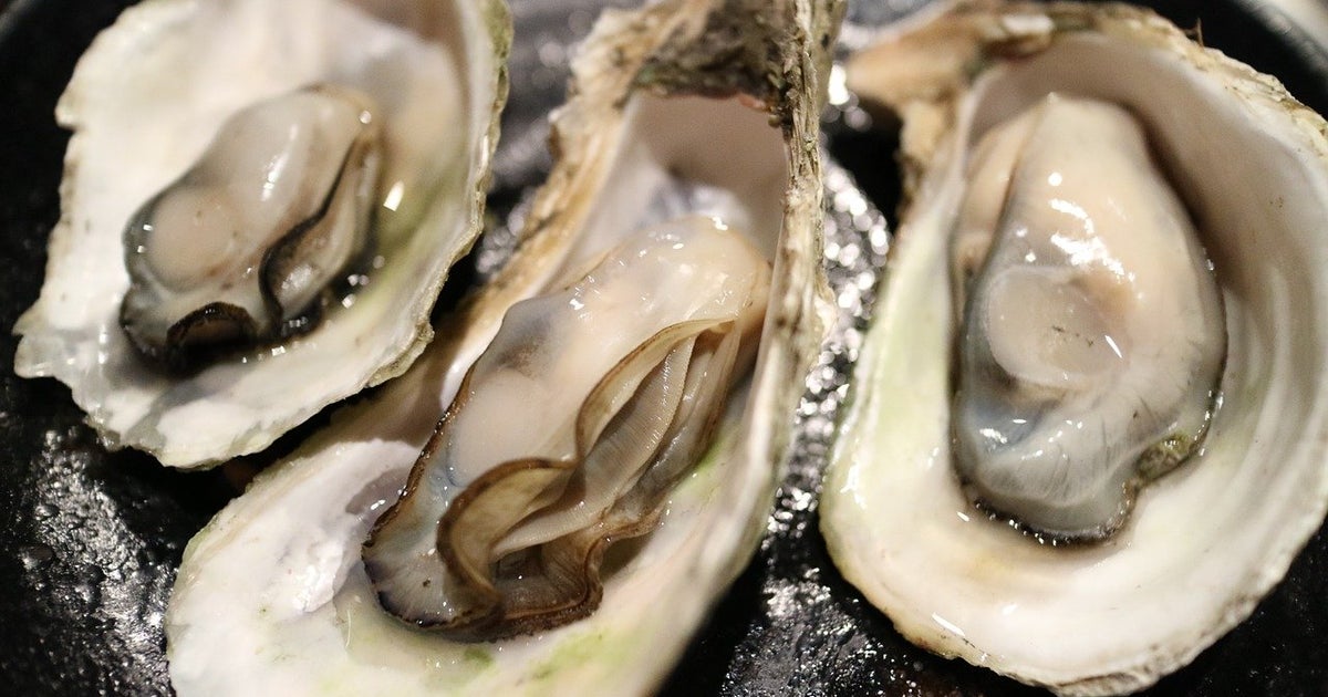 Panel To Consider Oyster Harvest Suspension CBS Miami