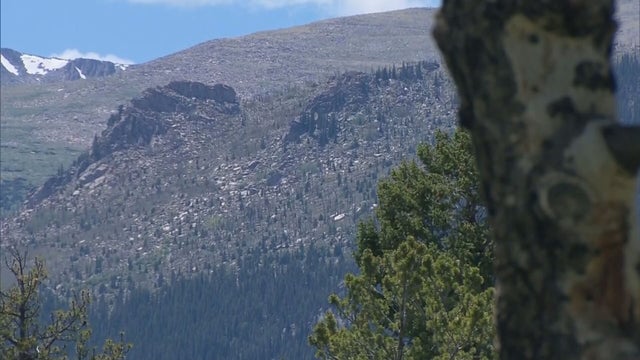 WILDLIFE ACCESS 6PKG.transfer_frame_782 