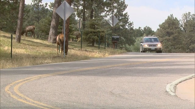 WILDLIFE ACCESS 6PKG.transfer_frame_974 