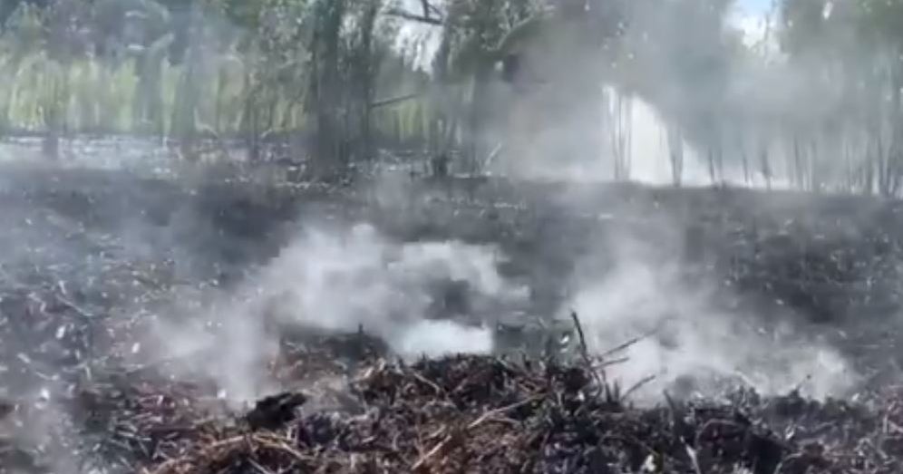 Firework Blamed For Starting Brush Fire In Jefferson County - CBS Colorado
