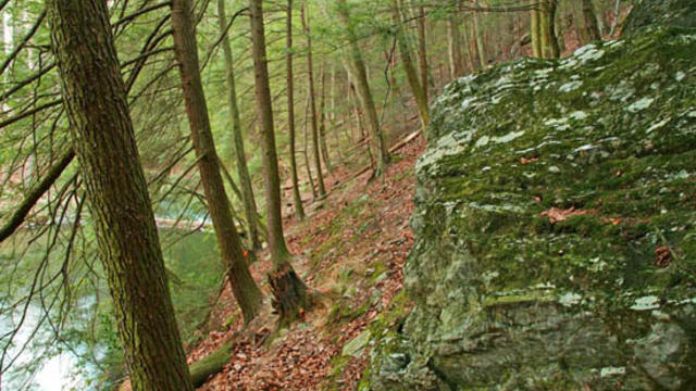 Hemlock-Trail.jpg 